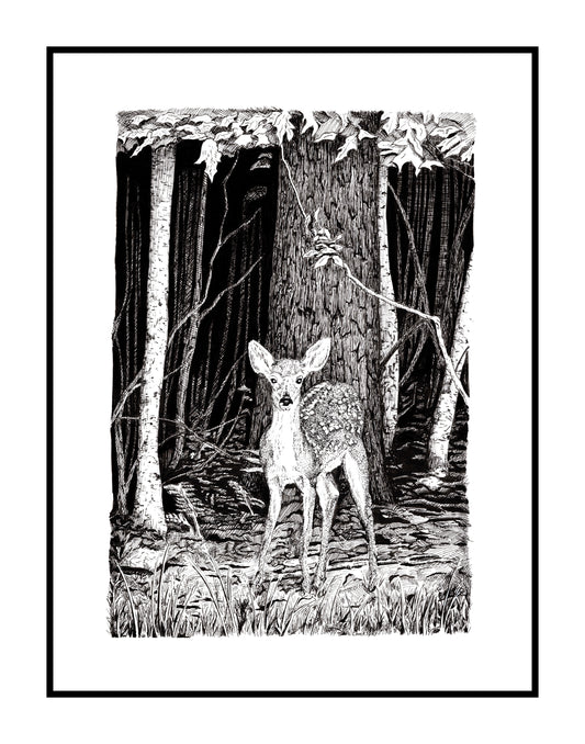 Fawn Deer Print 11"x14"