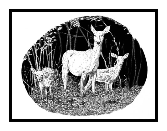 11"x14 Doe and Fawns Print